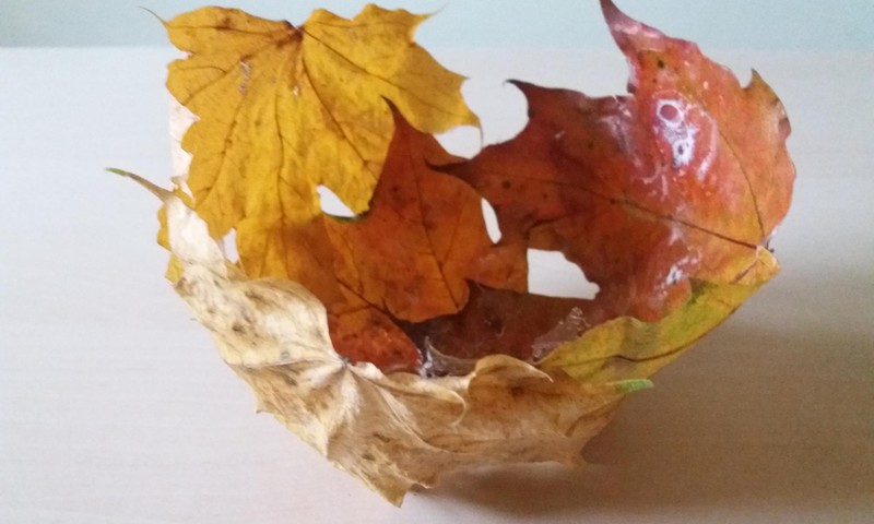 Kuriame iš rudens gėrybių.  Lėkštelė iš rudeninių lapų.