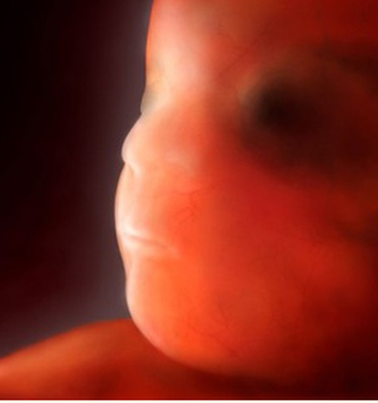 VIDEO Nėštumo kalendorius. 8 savaitė: kaip kovoti su toksikoze