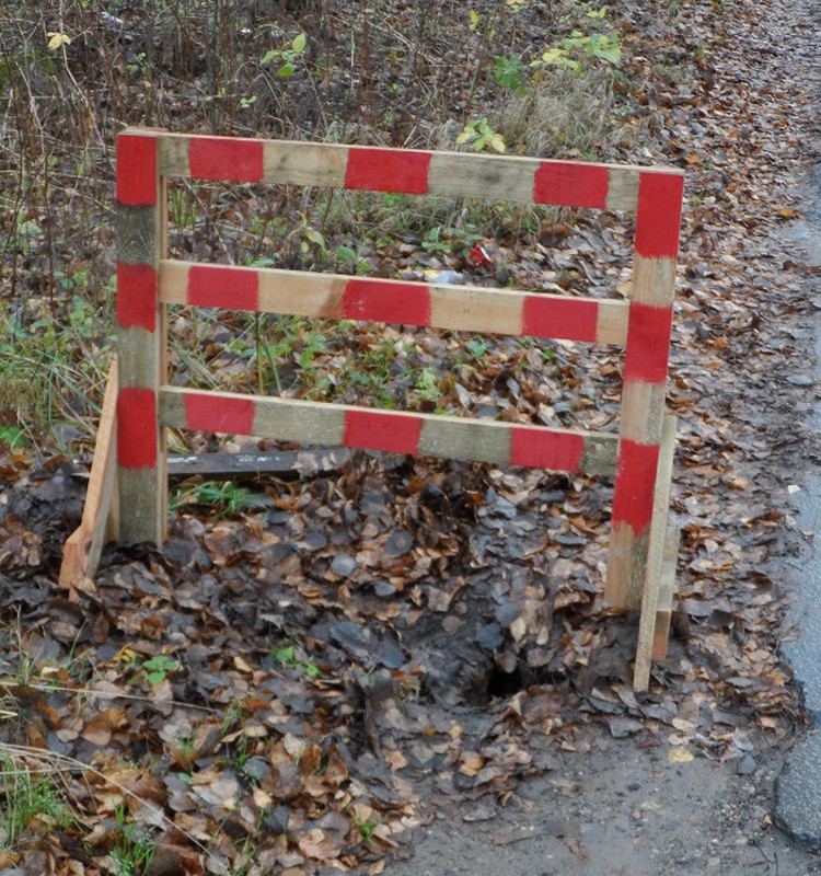 Eksperimentas: kas, kada sureaguos į pavojingą duobę. Atomazga