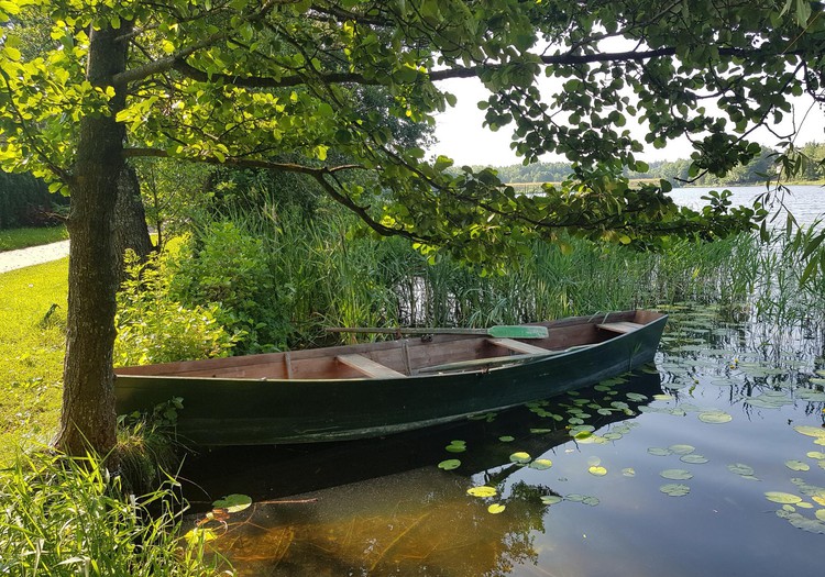 Vasaros gidas: Ignalina - ežerų kraštas