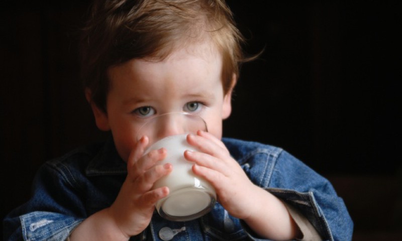 Kaip vaikai įsisavina karvės pieną?