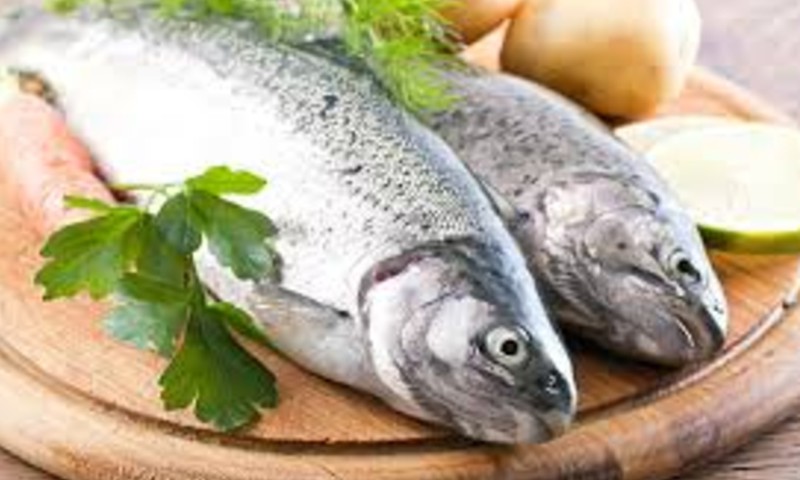 Lietuvos ežerų dvelksmas ant pietų stalo: populiariausi žuvies receptai