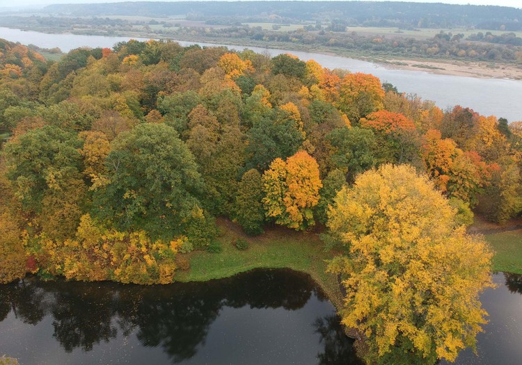 TOKIA MŪSŲ KASDIENYBĖ. Tas nepaprastas rudens grožis...