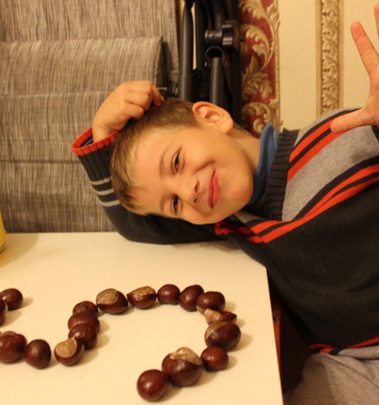 Lavinantys užsiėmimai su kaštonais