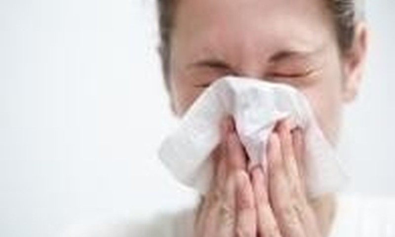 Gripas ir ūmios kvėpavimo takų infekcijos traukiasi