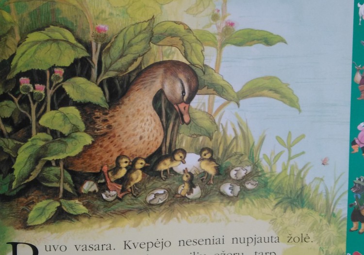 AISTRINGOJI VAIKYSTĖ. Vasara su knyga