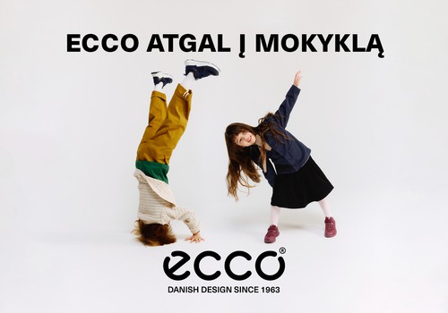 Patogiai ir stilingai žinių link