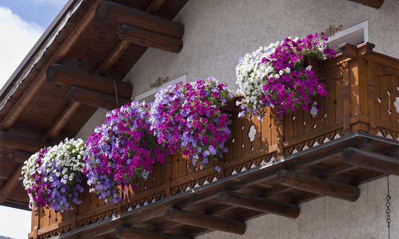 5 patarimai, kuriant gėlių kompozicijas balkone 