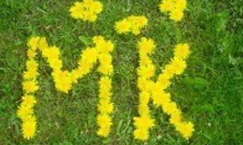 Šiandien, vidurdienį visi traukime į - Didįjį Pasivaikščiojimą!