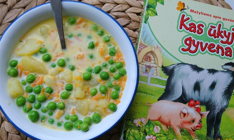 Vasaros ingredientai: šviežių daržovių ir pieno sriuba! 
