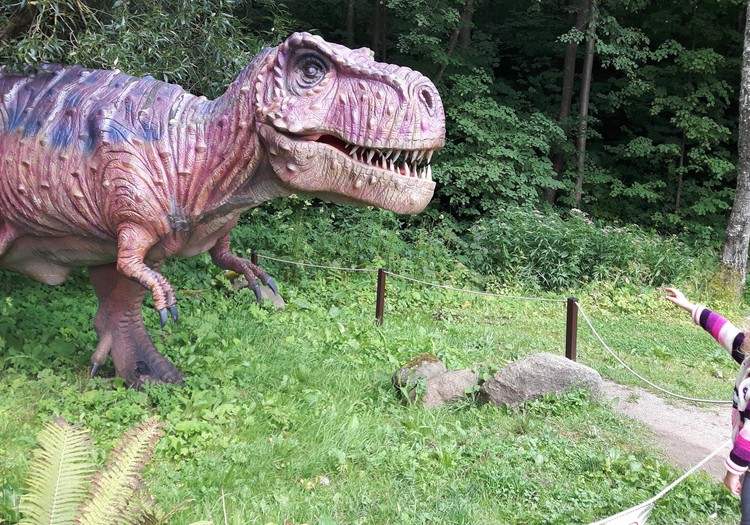 Dino parkas Radailiuose 