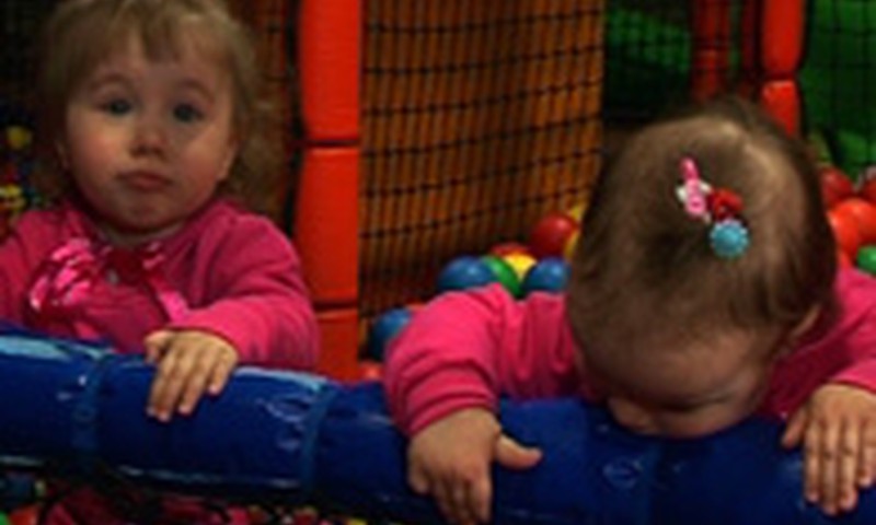 Ar dvynukai – vienodi?