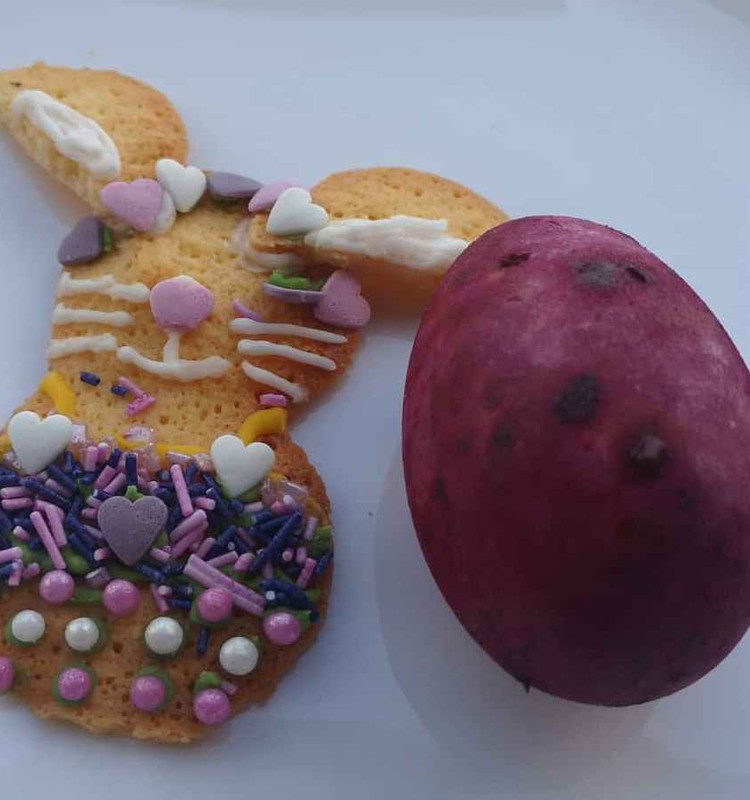 Dažome kiaušinius kaktusų vaisių kauliukais