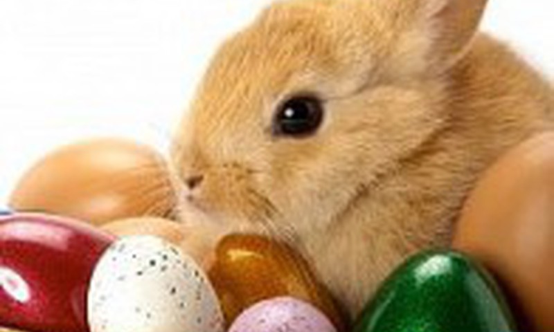 Pavojus, slypintis margutyje