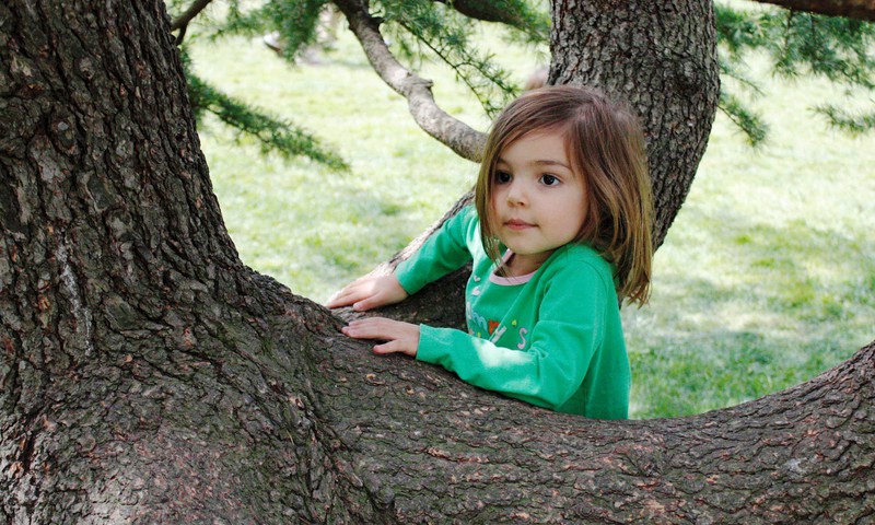 Leiskime vaikams lipti į medžius