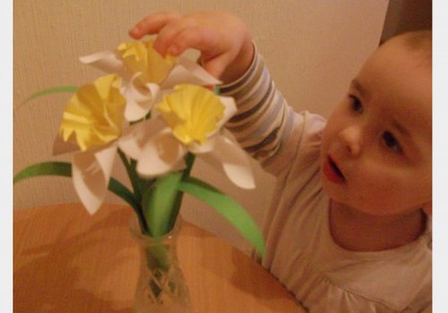 Narcizai - būtinas pavasario simbolis