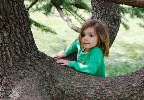 Leiskime vaikams lipti į medžius