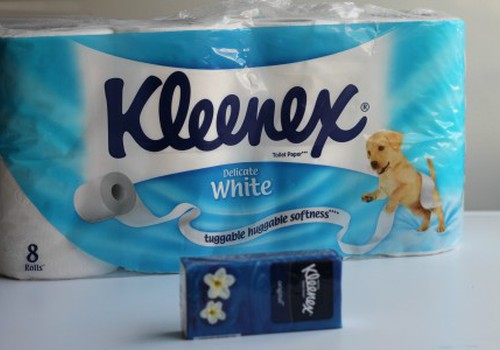 Projektas "Kleenex® Mama": pirmojo etapo nugalėtoja ir dovanos