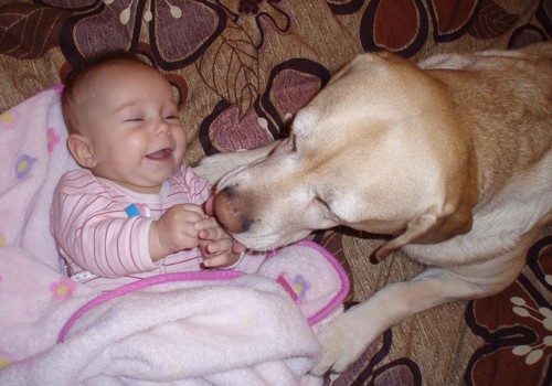 Šuniuko ir vaiko meilė