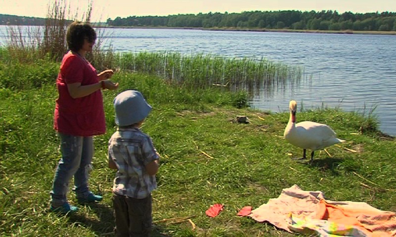 Ką smagaus žadate nuveikti vasarą?