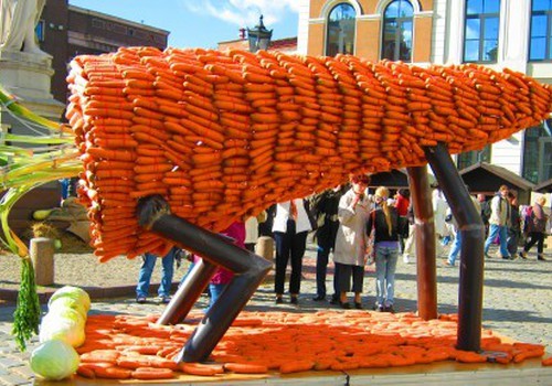 Rygoje - įspūdingas morkų festivalis ir morkų skulptūros