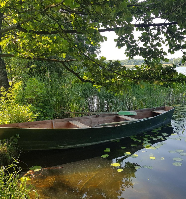 Vasaros gidas: Ignalina - ežerų kraštas