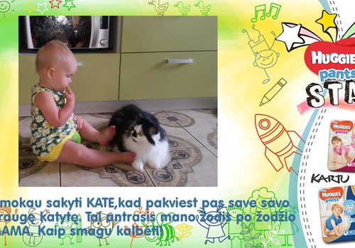 Meilė Jonė ir katytė