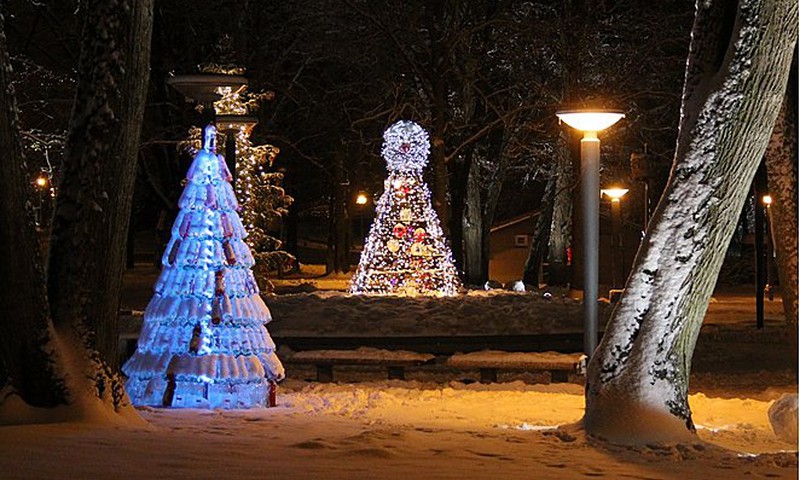 Druskininkai kviečia į kalėdinių eglučių parką