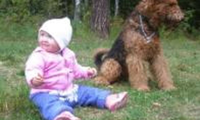 Birutės linksmybės – šuniukų šventėjė