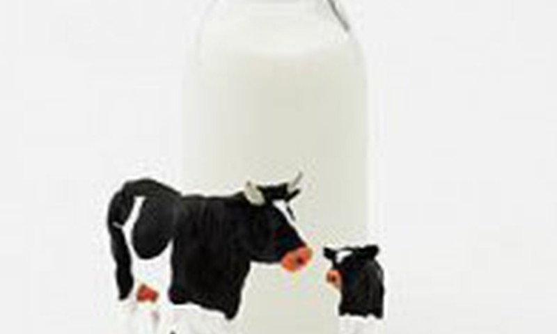 Metukų vaikui: karvės pienas ar mišinukas?