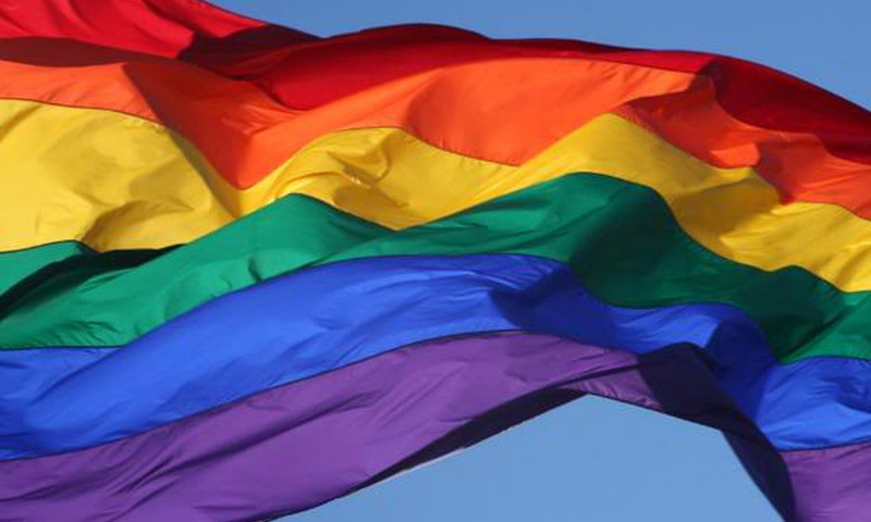 Ką manote apie gėjų eitynes "Už lygybę"?