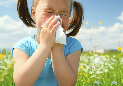 Įvairių augalų žydėjimo kalendorius: išvenkime alergijos 