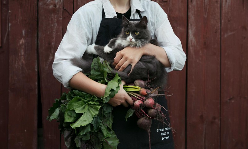 Giedrė Barauskienė: „Atsivertę šią knygą pasijusite namuose, kur šeimininkams patinka ruošti valgį“