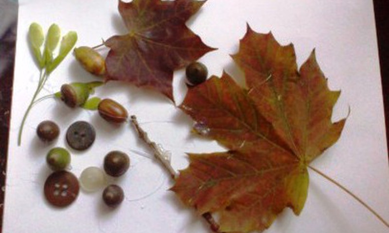 Rudens gėrybės - vaikų darbeliams!