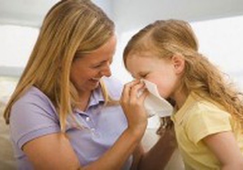 Alergija namų dulkių erkutėms. Kaip saugotis?  