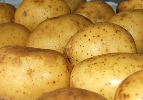 Bulvė folijoje