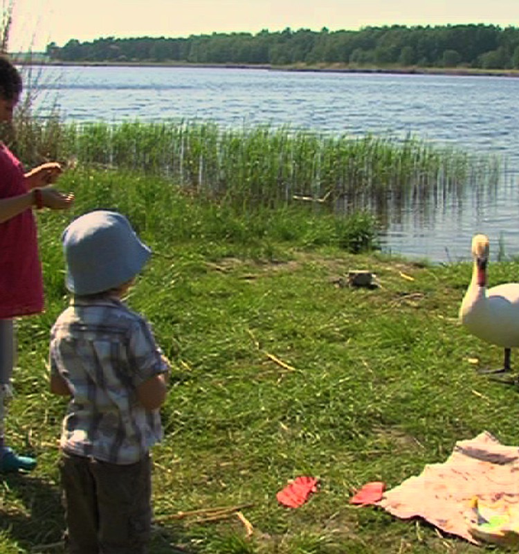 Ką smagaus žadate nuveikti vasarą?