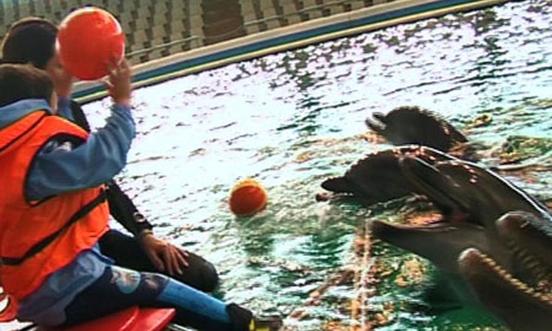  Ypatingi vaikai ir delfinai