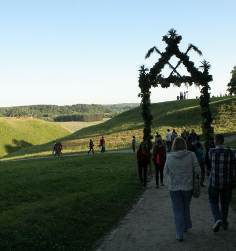 Kur švęsti Jonines: pildykite renginių sąrašą