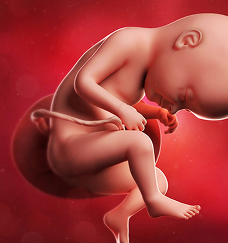 VIDEO Nėštumo kalendorius. 33 savaitė: kūdikis jaučia mamos emocijas
