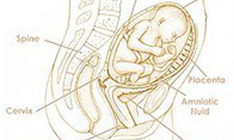 28 savaitė: Aptark su specialistu būsimą gimdymą