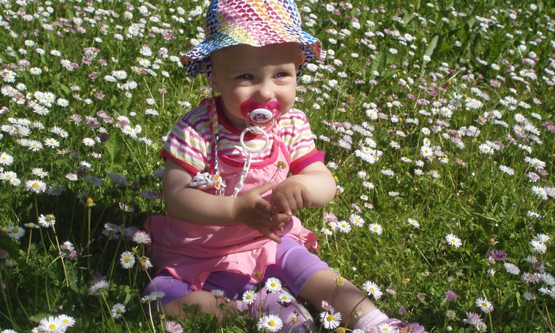 Mažylės vasaros akimirkos žydinčiame sode