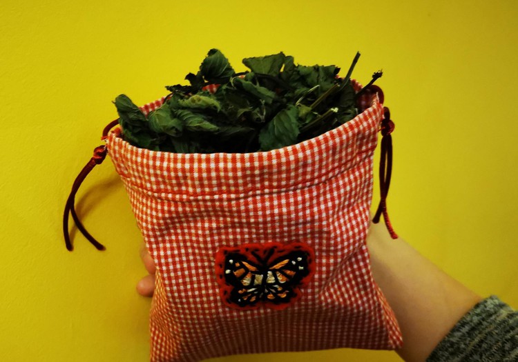 Pramogos per nuotolį