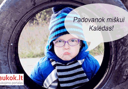 Padovanok miškui Kalėdas!