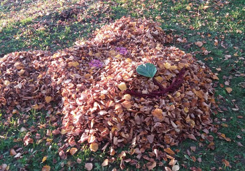 Rudens blogas: Kuo gali pavirsti rudeniniai lapai :)