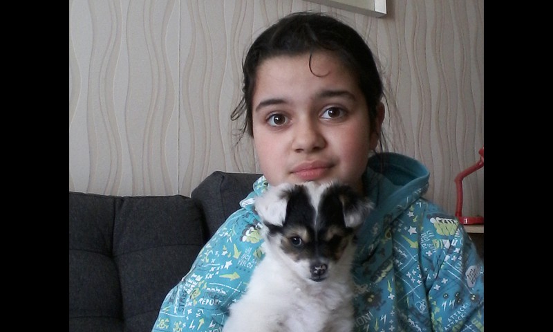 Aikstingoji sese princese
