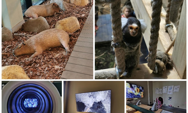 Vasaros gidas: Zoopark Vilniuje - sužavėjo gyventojų gausa ir įvairovė