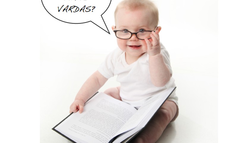 Kokie vardai buvo populiariausi 2013 metais? Pilna vardų statistika