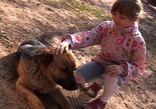 Šį šeštadienį MK laidoje - apie žindymo režimą, šuniuko paieškas ir buteliukų priežiūrą