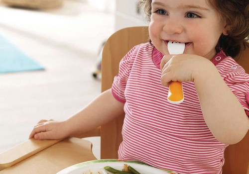 Mamos pataria: sveikų patiekalų receptų idėjos mažyliams (1)